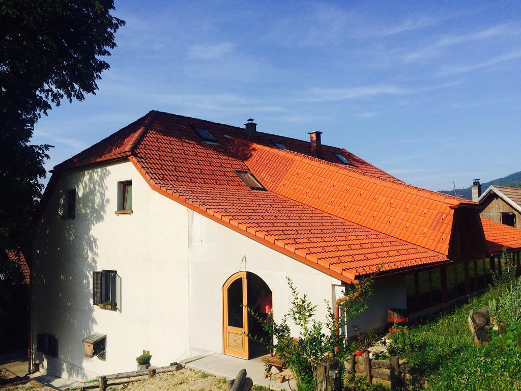 Villa Turisticna Kmetija Toman Gornji Grad Exterior foto