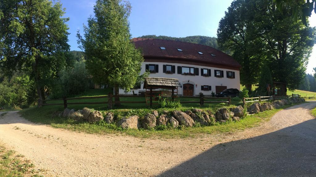 Villa Turisticna Kmetija Toman Gornji Grad Exterior foto