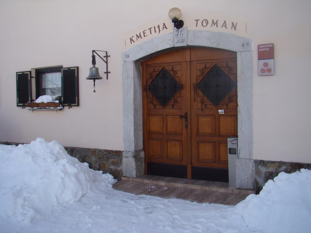 Villa Turisticna Kmetija Toman Gornji Grad Exterior foto