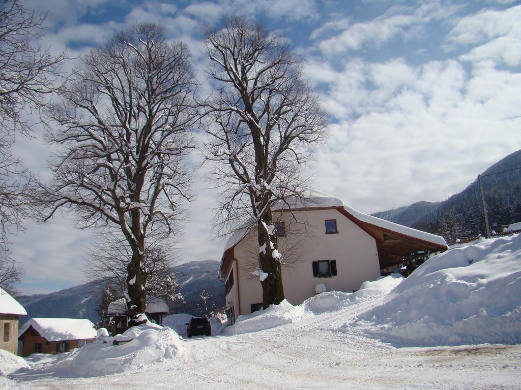 Villa Turisticna Kmetija Toman Gornji Grad Exterior foto