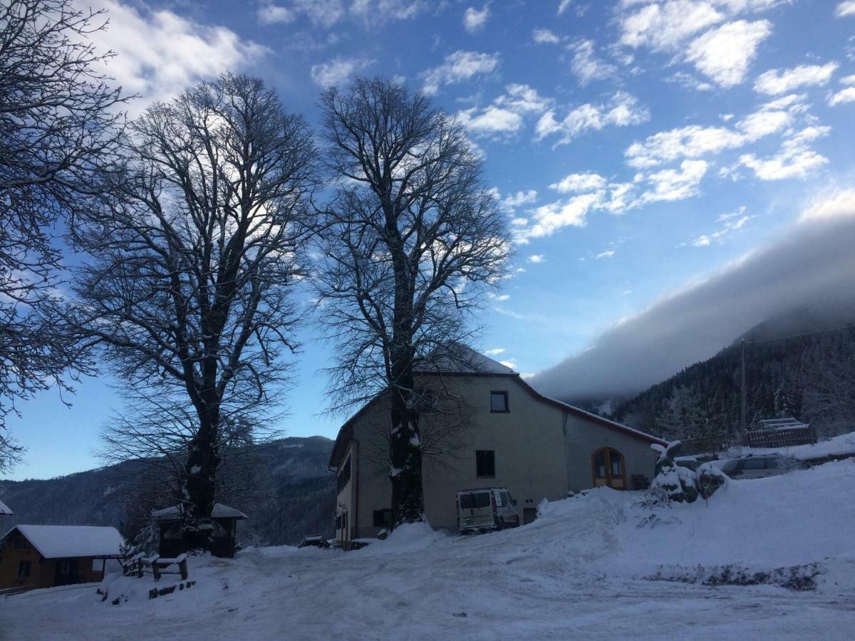 Villa Turisticna Kmetija Toman Gornji Grad Exterior foto