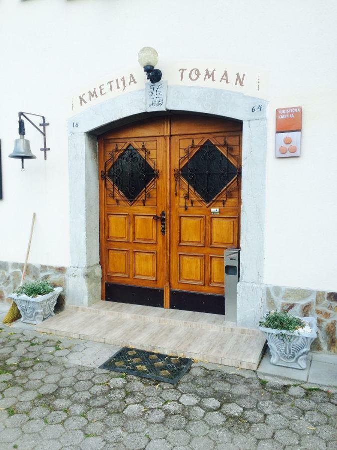 Villa Turisticna Kmetija Toman Gornji Grad Exterior foto