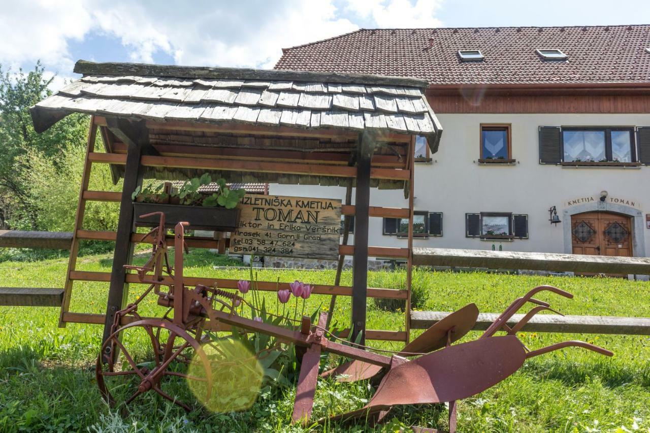 Villa Turisticna Kmetija Toman Gornji Grad Exterior foto