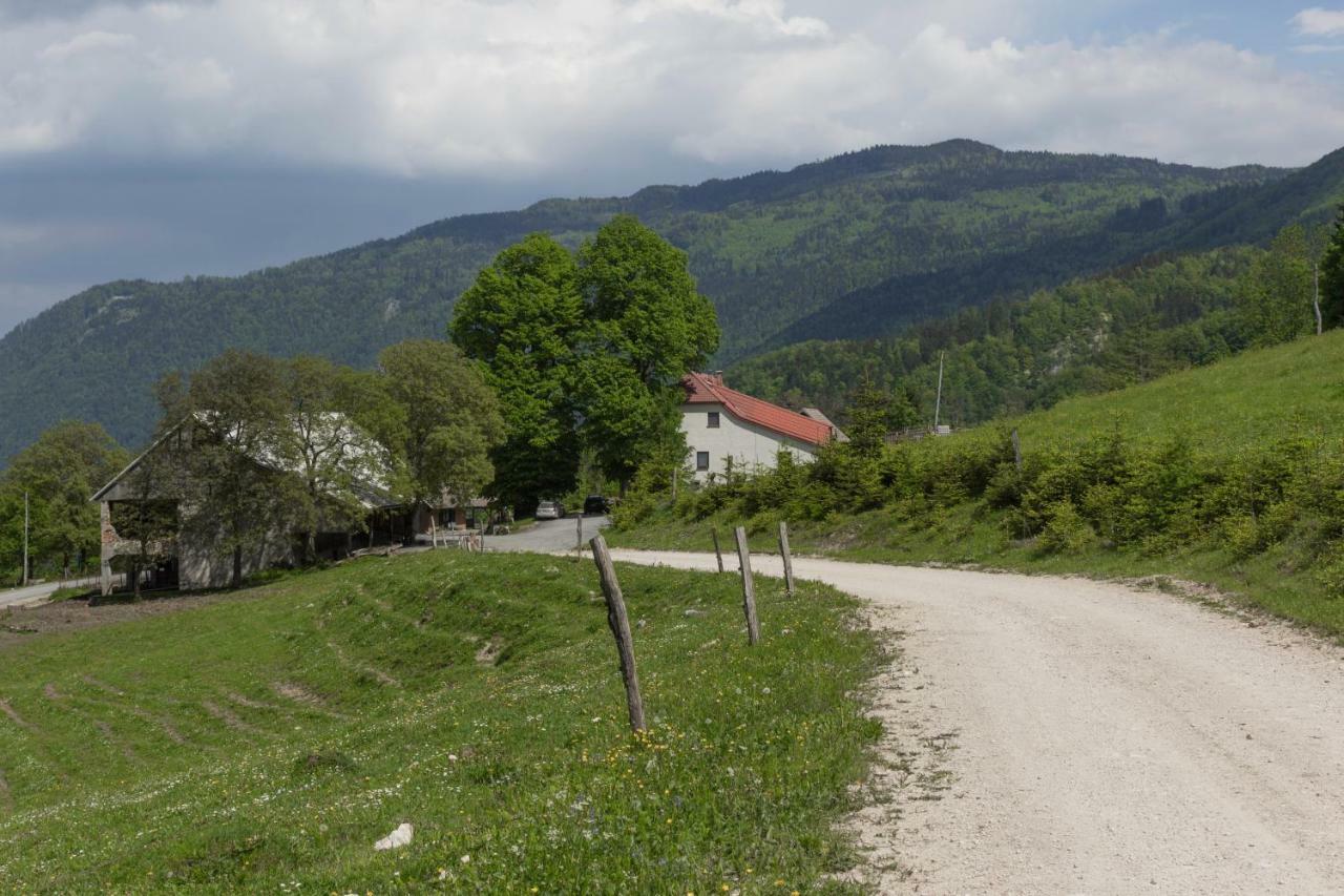 Villa Turisticna Kmetija Toman Gornji Grad Exterior foto