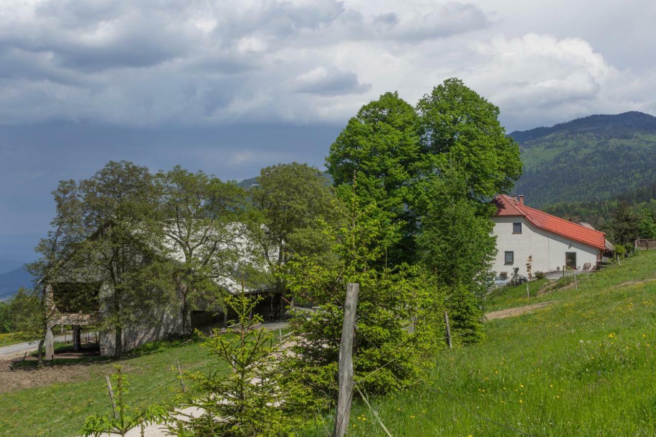 Villa Turisticna Kmetija Toman Gornji Grad Exterior foto