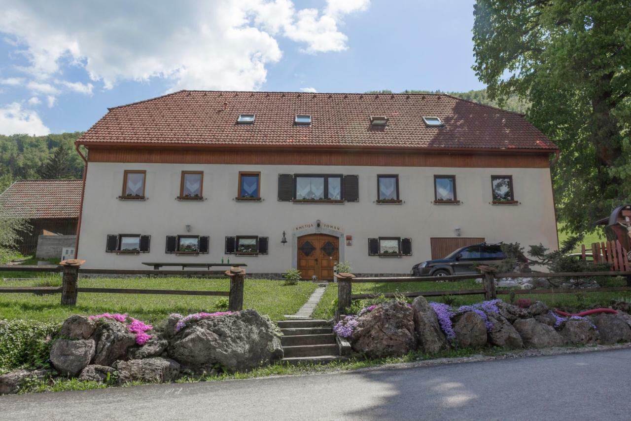 Villa Turisticna Kmetija Toman Gornji Grad Exterior foto